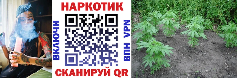 Купить наркотик аптеки Радужный Бошки Шишки  мега сайт  ГАШИШ  Меф мяу мяу  Кокаин  АМФЕТАМИН 