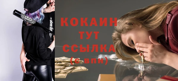 дживик Баксан