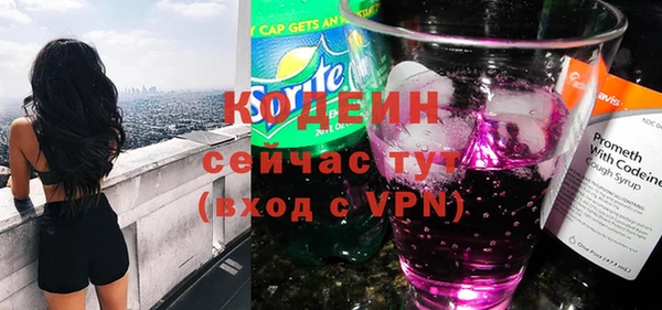 молекула духа Арсеньев