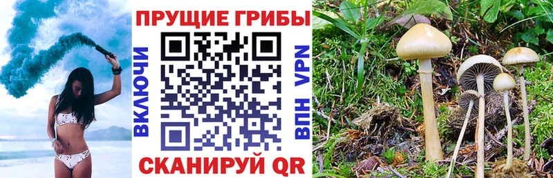 Галлюциногенные грибы прущие грибы Радужный
